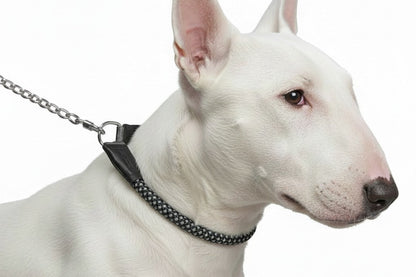 Large Dog Training Collar Reflective Nylon Stainless Steel