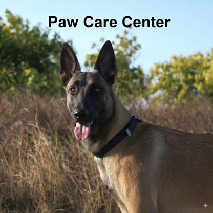 Pet Collar Waterproof  Anti-Odor