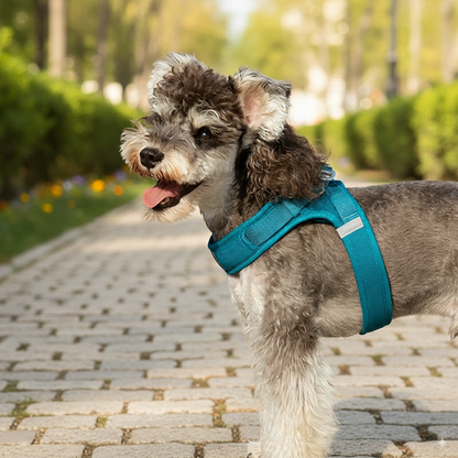 Soft Air Mesh Dog Harness