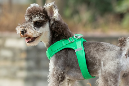 Soft Air Mesh Dog Harness
