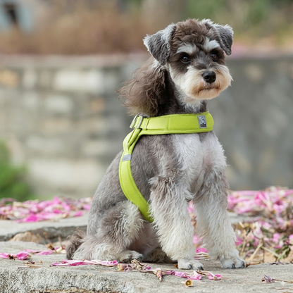 Soft Air Mesh Dog Harness