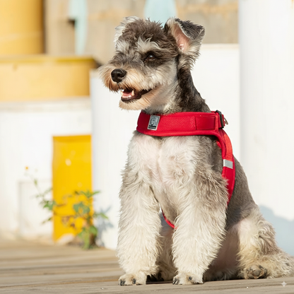 Soft Air Mesh Dog Harness