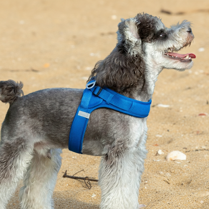 Soft Air Mesh Dog Harness