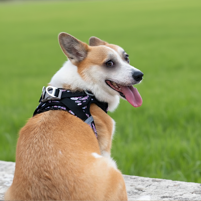 Soft Air Mesh Dog Harness