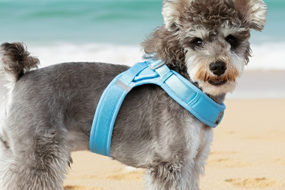 Soft Air Mesh Dog Harness