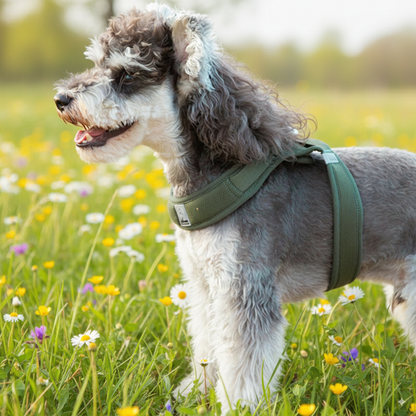 Soft Air Mesh Dog Harness
