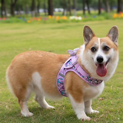 Soft Air Mesh Dog Harness