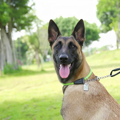 Large Dog Training Collar Reflective Nylon Stainless Steel