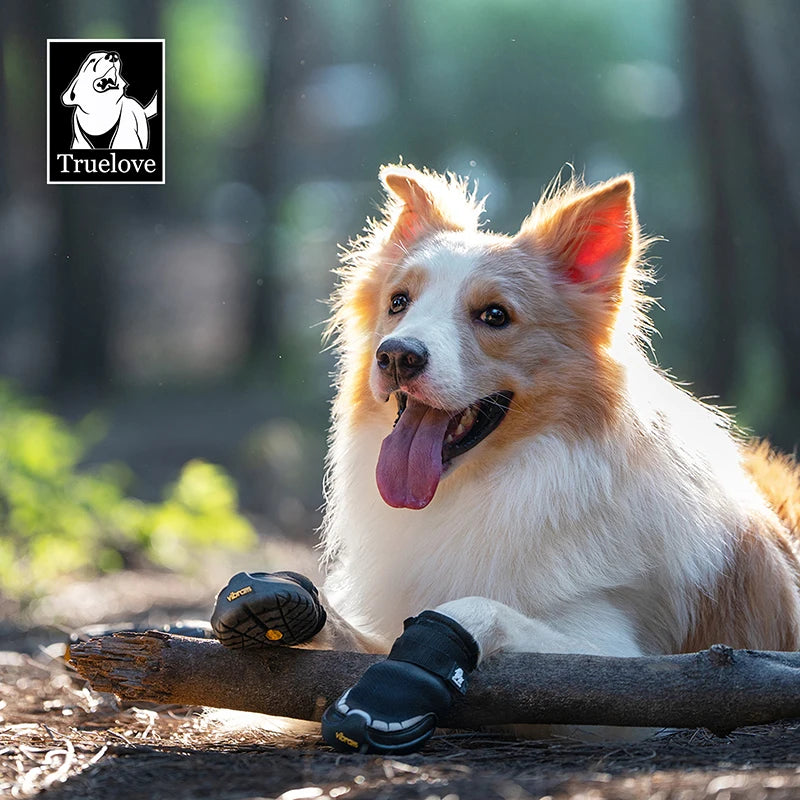Pet Shoes Vibram Sole Reflective Durable
