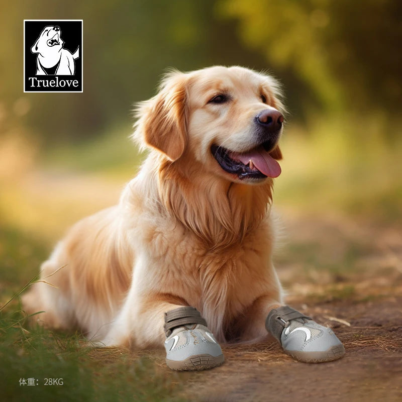 Breathable Dog Shoes with TPR Sole Flexible Protectable Soft