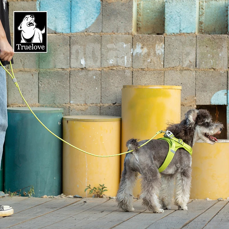 Pet Leash Lightweight Nylon Rope Dog Leash